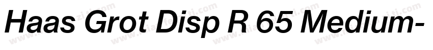 Haas Grot Disp R 65 Medium字体转换